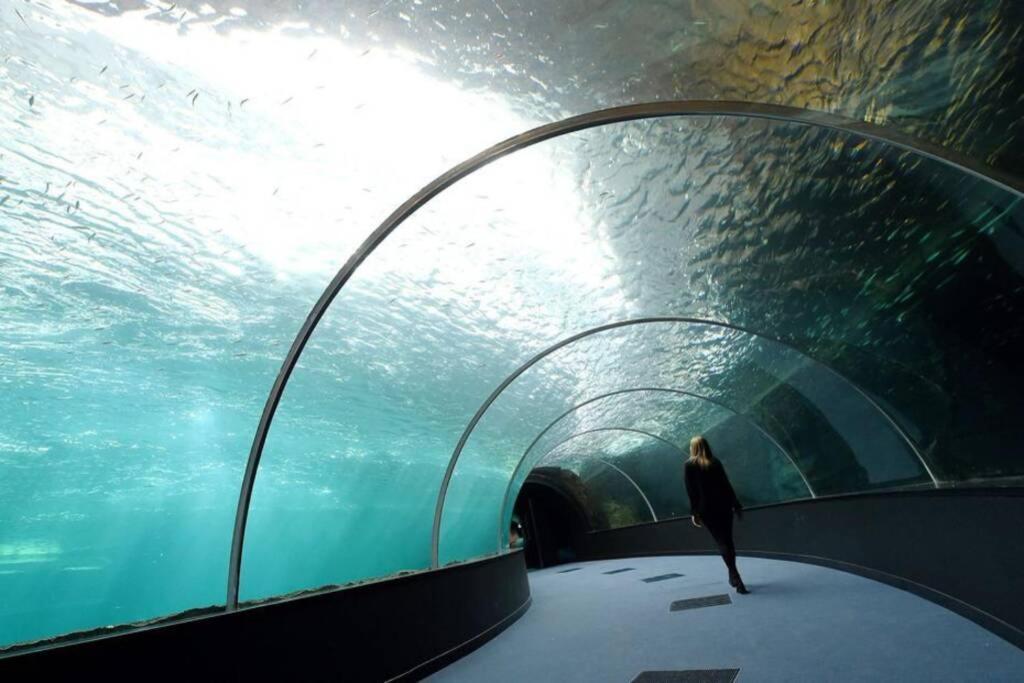 La Perle Marine :Boulogne Sur Mer Bagian luar foto