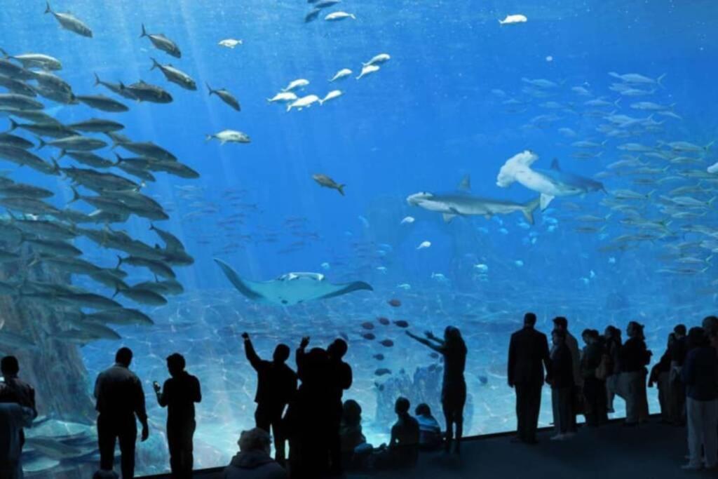 La Perle Marine :Boulogne Sur Mer Bagian luar foto