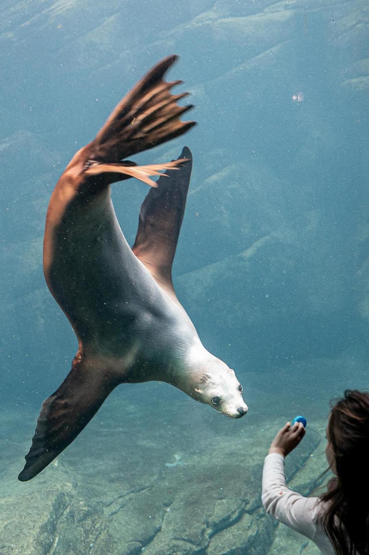 La Perle Marine :Boulogne Sur Mer Bagian luar foto